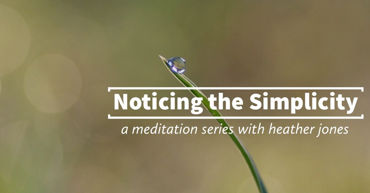 noticing the simplicity event header image